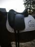 Selle de dressage Wintec Pro Hart am&eacute;lior&eacute;e 2024