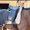 Selle dressage stubben 17"