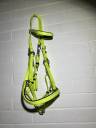 Filet licol bride bridon endurance randonn&eacute;e jaune vert