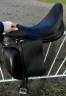 Selle de dressage Prestige X-Optimax - 17"
