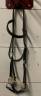 Bridon SidePull Cheval