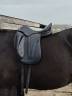 Selle dressage Butet Saumur 17"