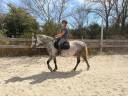 super ponette &agrave; vendre de 6 ans sortie en CSO