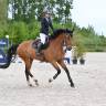 Cavalier/ Monitrice / palefrenier ind&eacute;pendant 