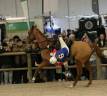 Cheval PS Comp&eacute;tition HORSE BALL 7 ans