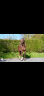 Tolanelo &ndash; 3 ans &ndash; 1,74 m &ndash; gros potentiel cso 