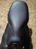 Selle d'obstacle BUTET neuve