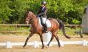 Monitrice d&rsquo;&eacute;quitation ind&eacute;pendante 