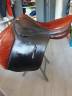 Selle mixte Point Cheval (anciennement Forestier) &mdash; 17 