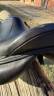 Selle mixte Equestro 17,5