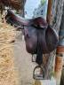 Selle forestier S&eacute;oul 2021