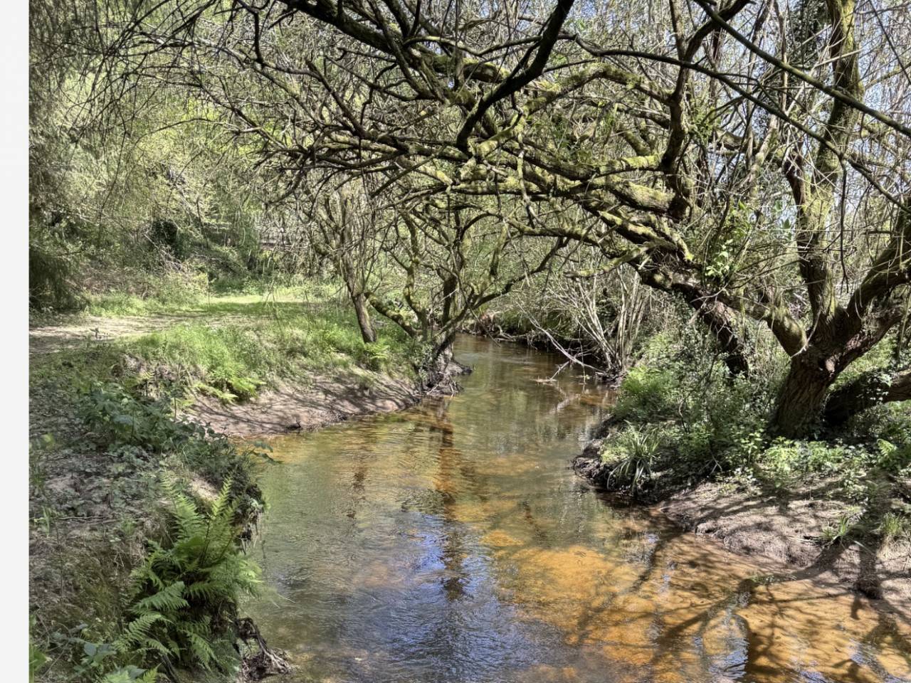  Un domaine d&rsquo;exception au c&oelig;ur de la nature sur 26 ha