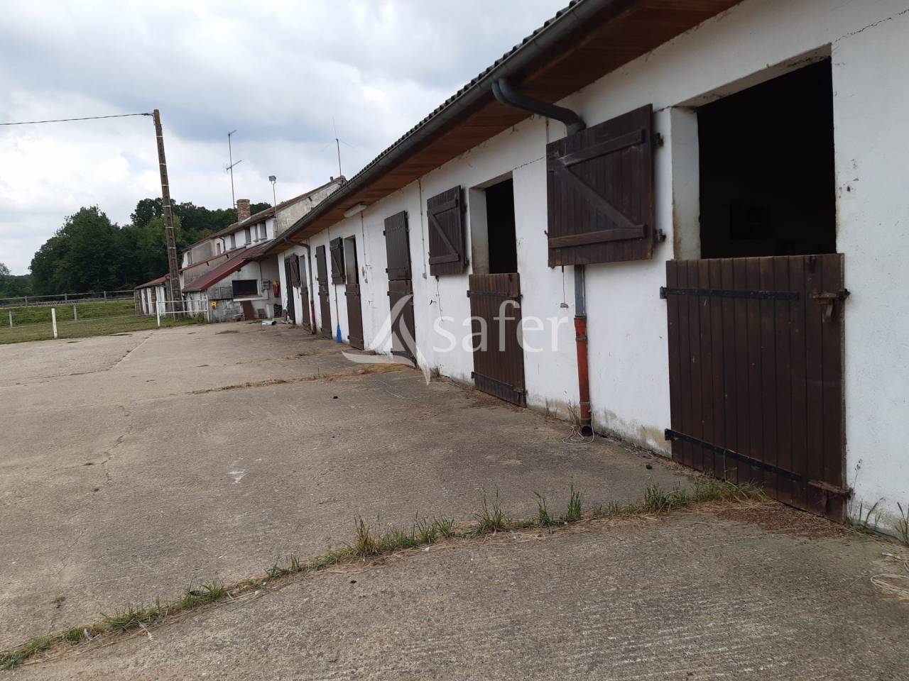 Complexe d'entrainement pour trotteurs cl&eacute; en main