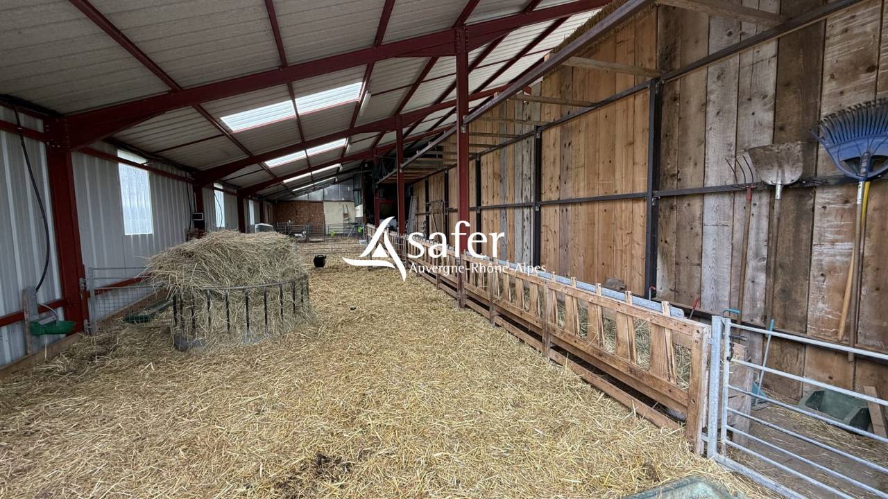 Maison r&eacute;nov&eacute;e avec 6 ha - Secteur LAPALISSE