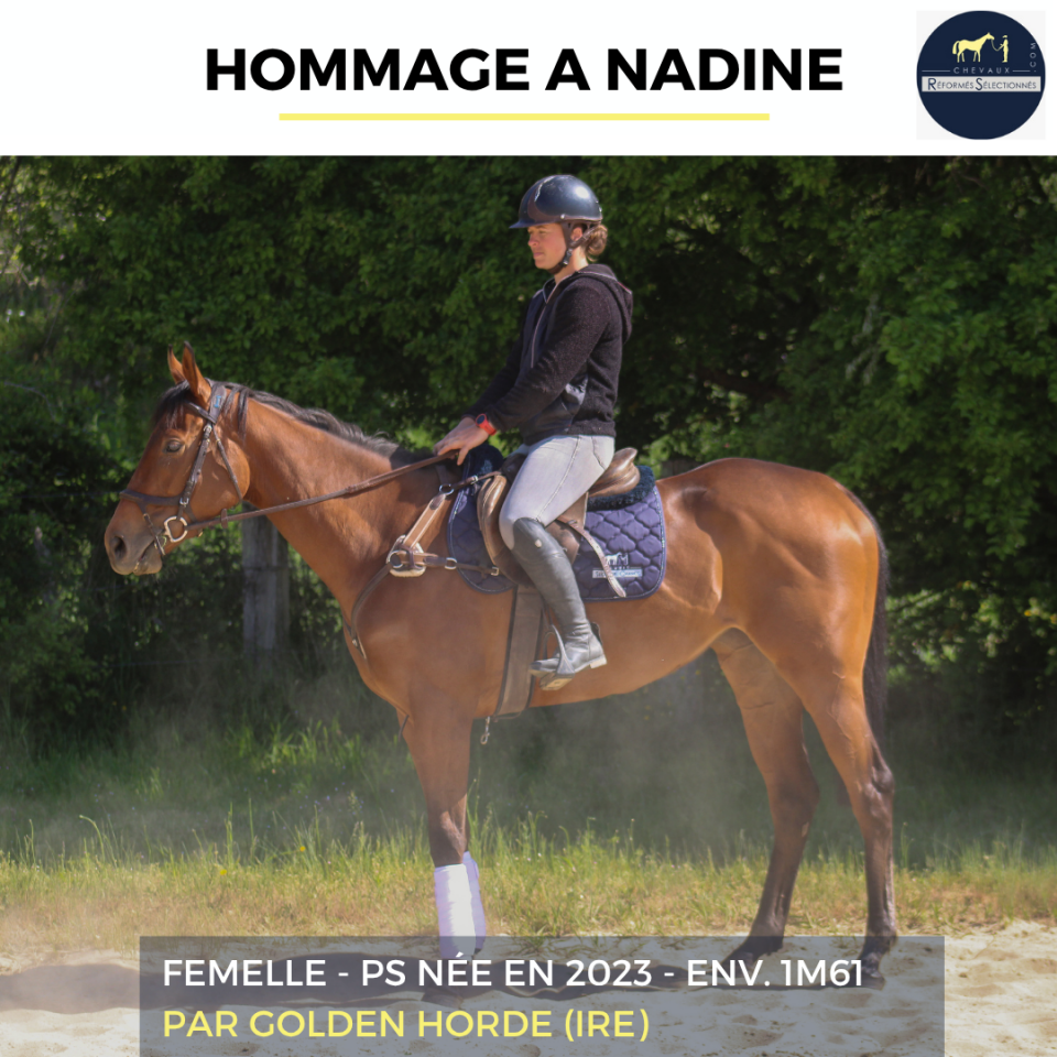 HOMMAGE A NADINE - PS - 3 ANS