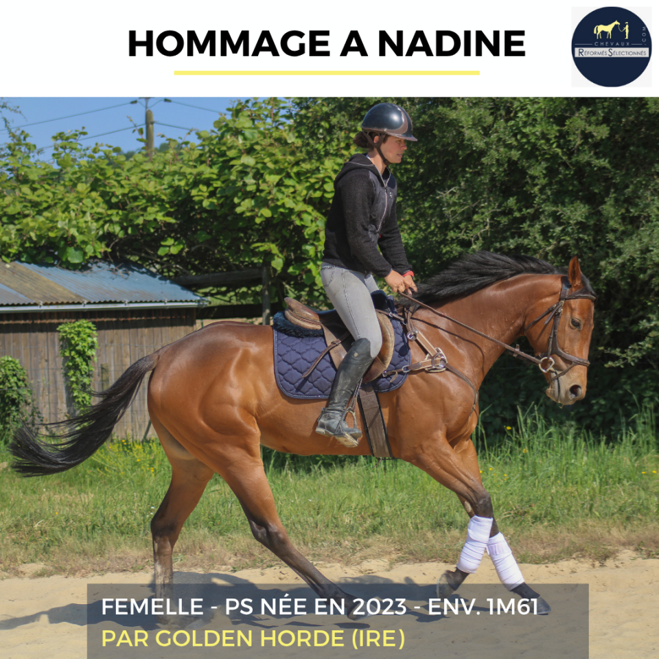 HOMMAGE A NADINE - PS - 3 ANS