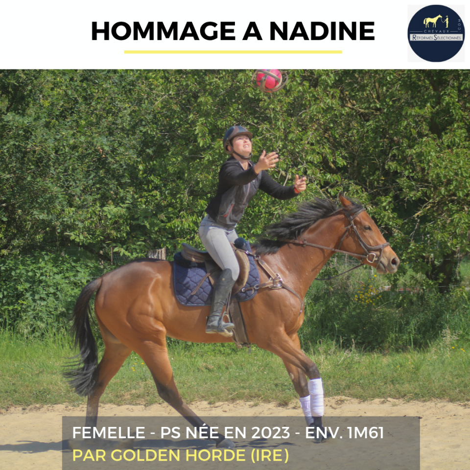 HOMMAGE A NADINE - PS - 3 ANS