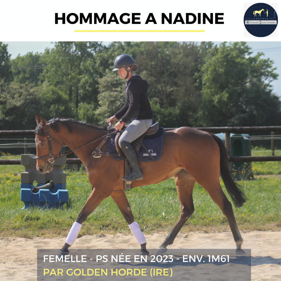HOMMAGE A NADINE - PS - 3 ANS