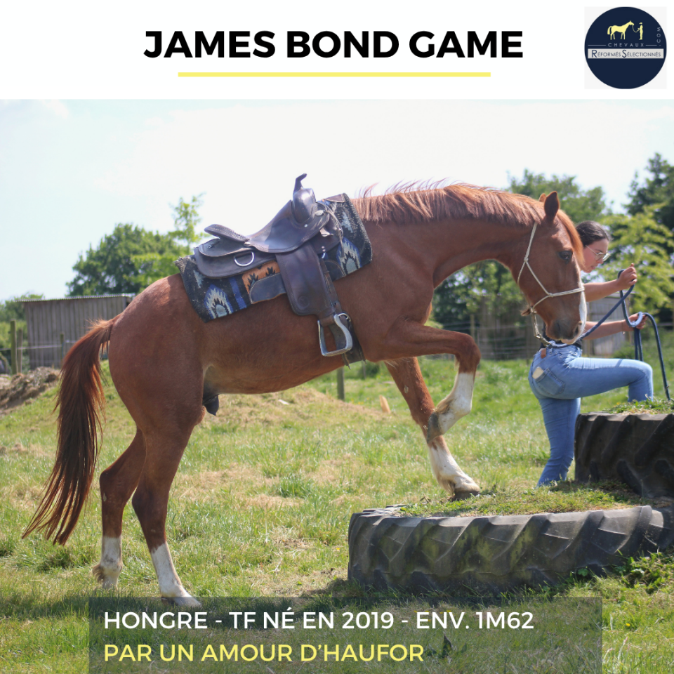 JAMES BOND GAME - TF - 7 ANS