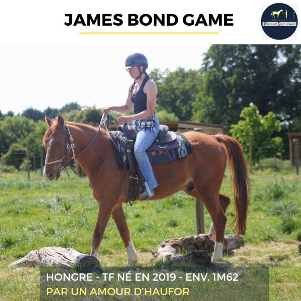 JAMES BOND GAME - TF - 7 ANS