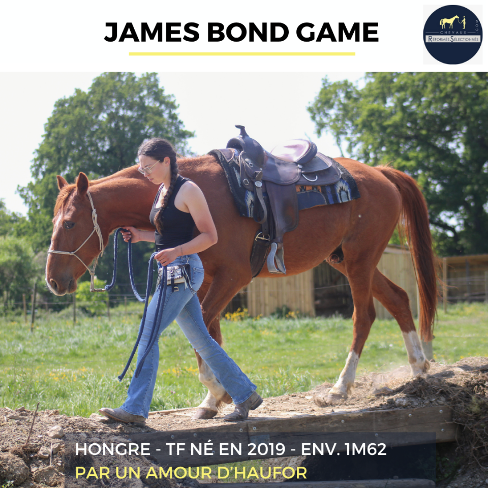 JAMES BOND GAME - TF - 7 ANS