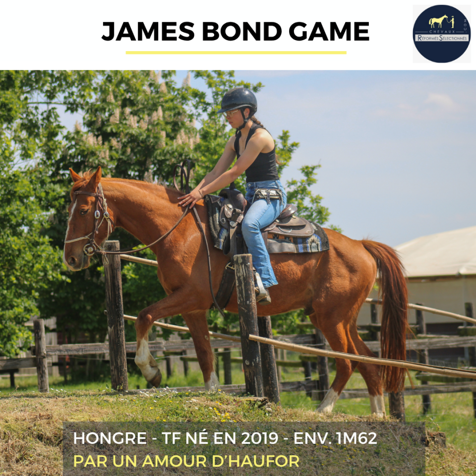 JAMES BOND GAME - TF - 7 ANS