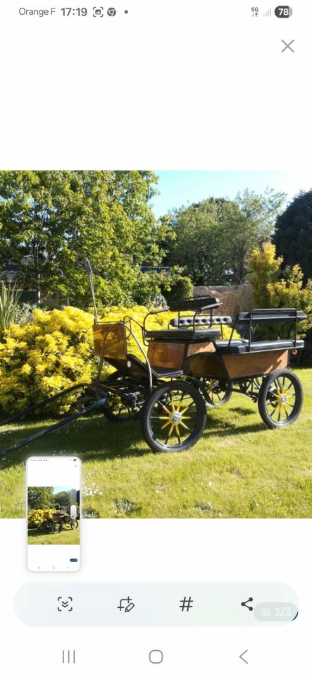 Caleche wagonette wolf 6 places