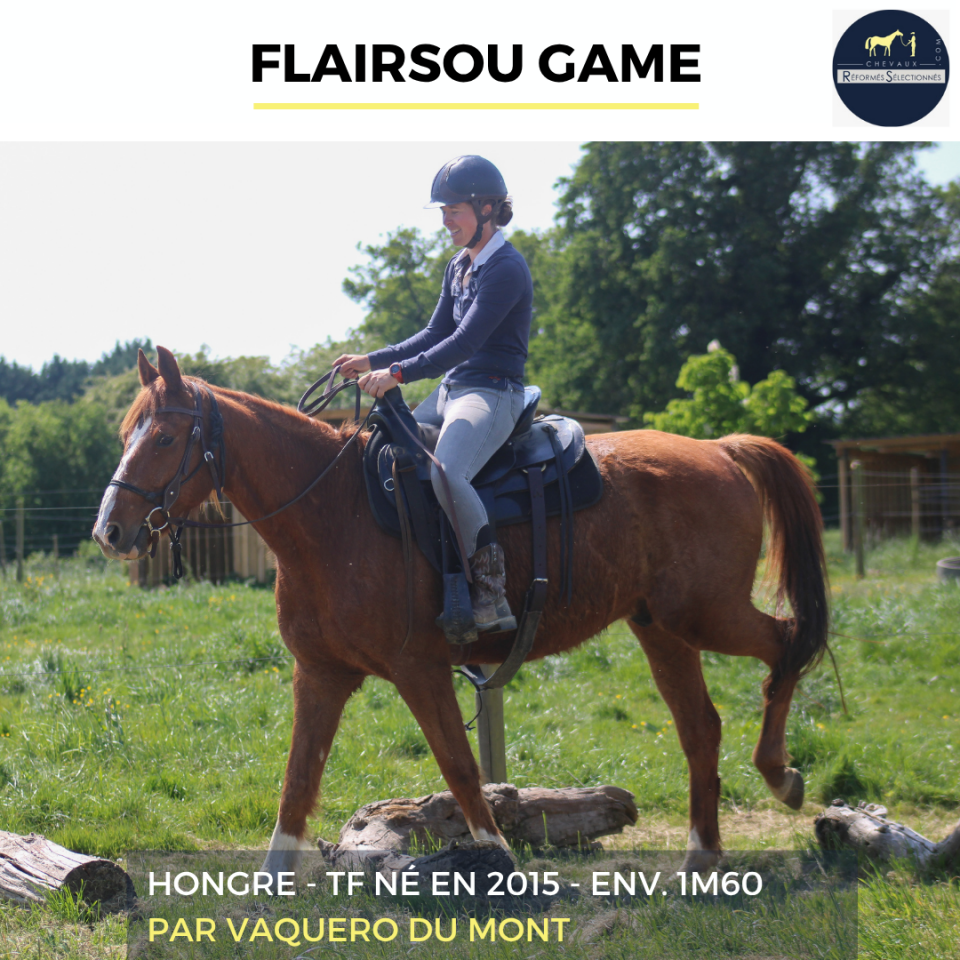 FLAIRSOU GAME - TF - 11 ANS
