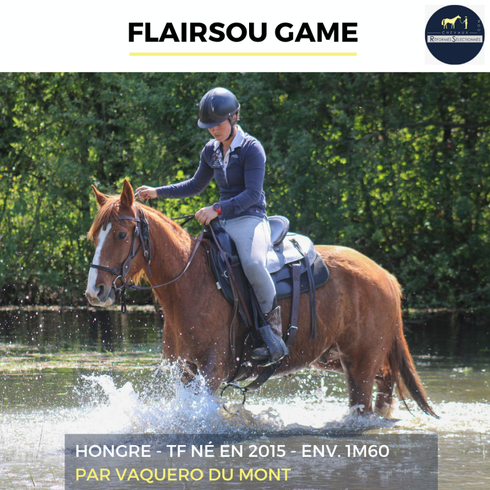 FLAIRSOU GAME - TF - 11 ANS