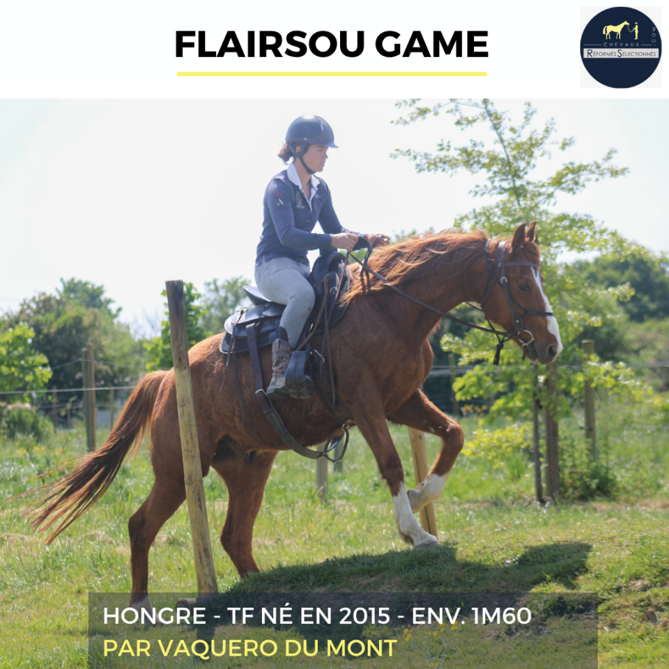 FLAIRSOU GAME - TF - 11 ANS