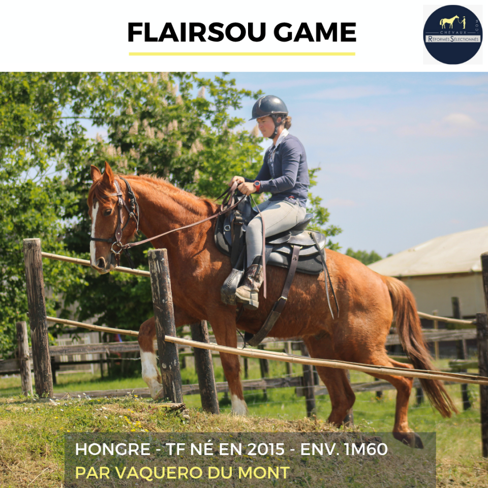 FLAIRSOU GAME - TF - 11 ANS