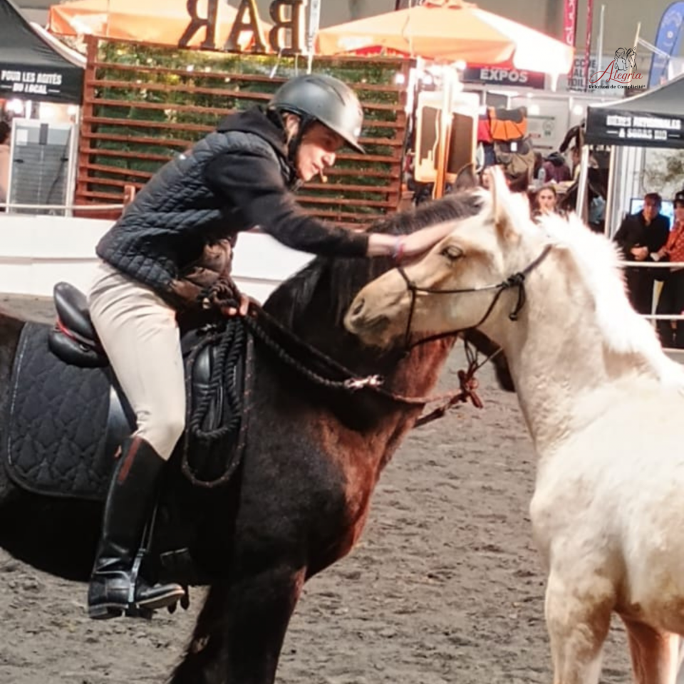 Emporio, un tr&egrave;s beau mental