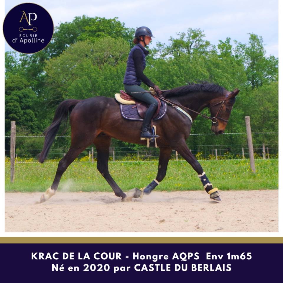 AQPS env 1m65 m&egrave;re AC origines obstacle