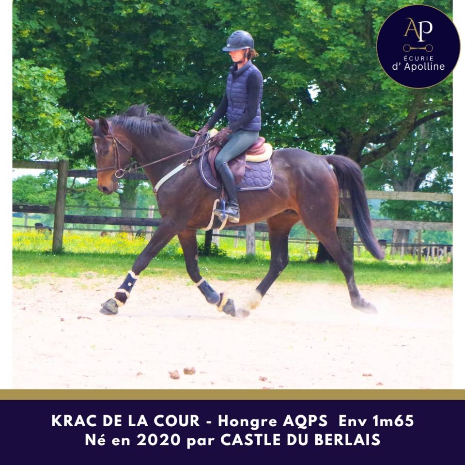 AQPS env 1m65 m&egrave;re AC origines obstacle