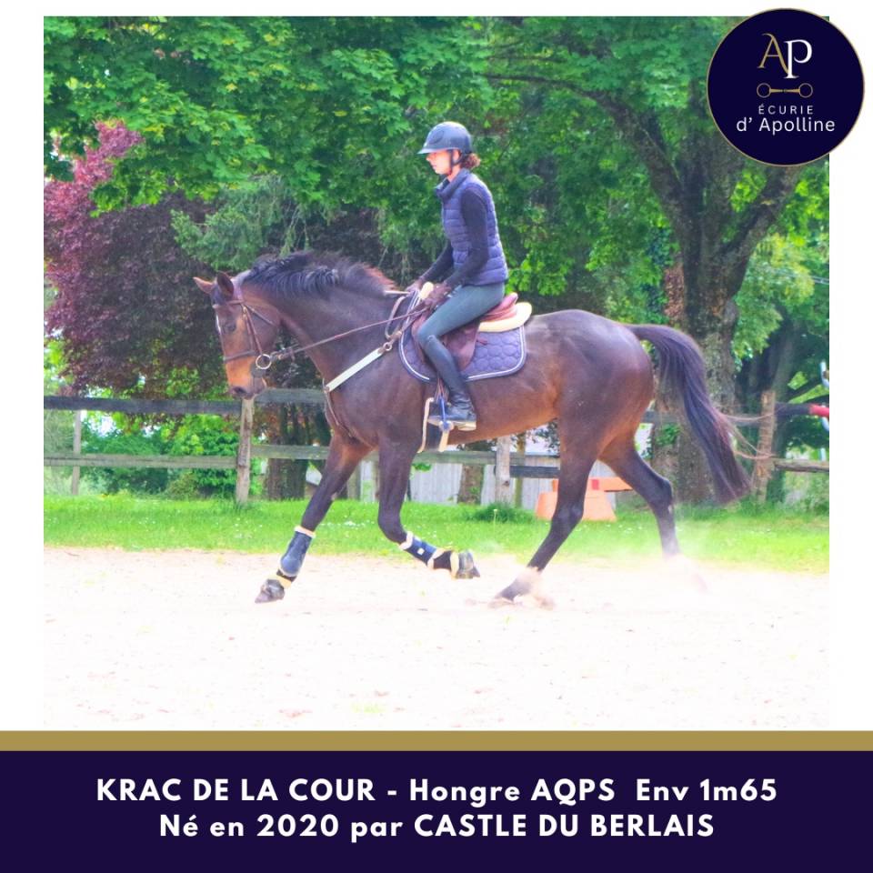 AQPS env 1m65 m&egrave;re AC origines obstacle