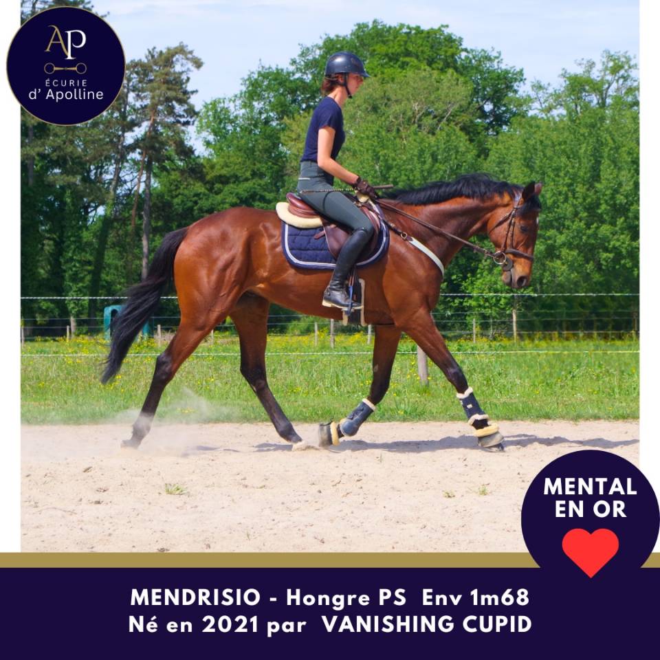 5 ans env 1m68 magnifique et top mental