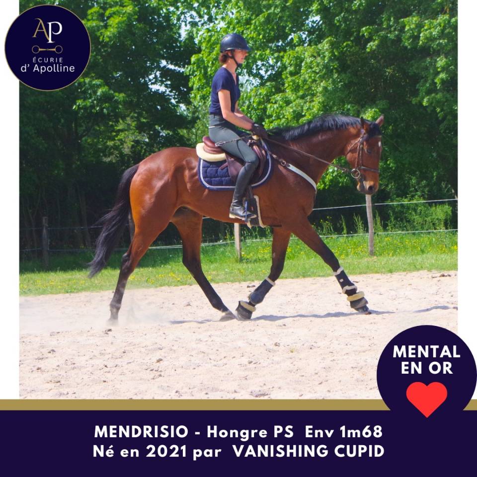 5 ans env 1m68 magnifique et top mental