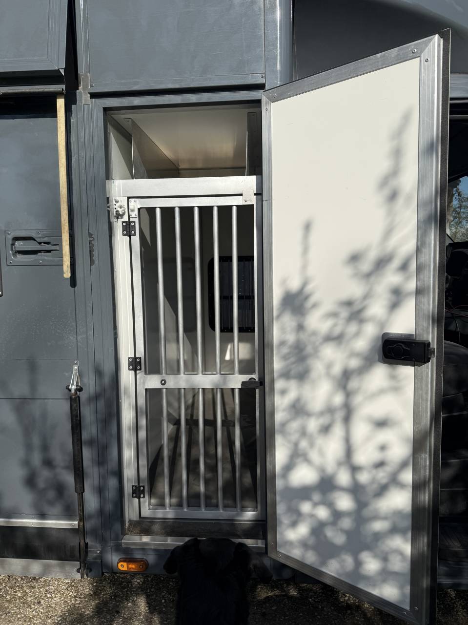 Camion VL Chevaux Renault Master 2022 Occasion