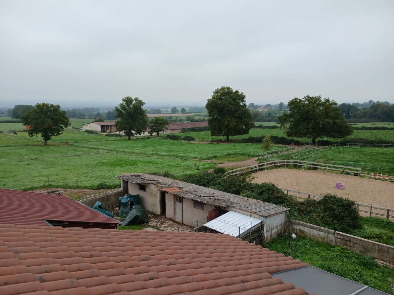Ferme &eacute;questre sur 2,5 ha - Loire (42)