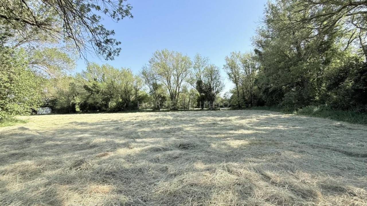 Propri&eacute;t&eacute; agricole de caract&egrave;re aux portes de Fontvieille -