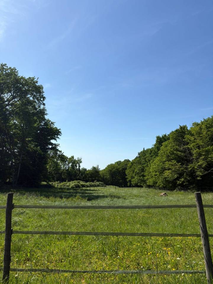 Nouvelle Aquitaine - Propri&eacute;t&eacute; &eacute;questre de qualit&eacute;