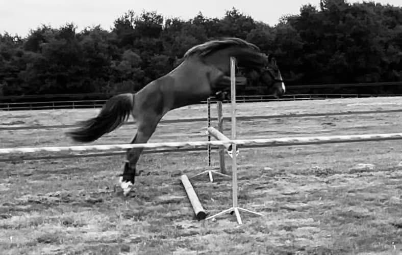 Ponette PFS - 4 ans (dispo en septembre) 