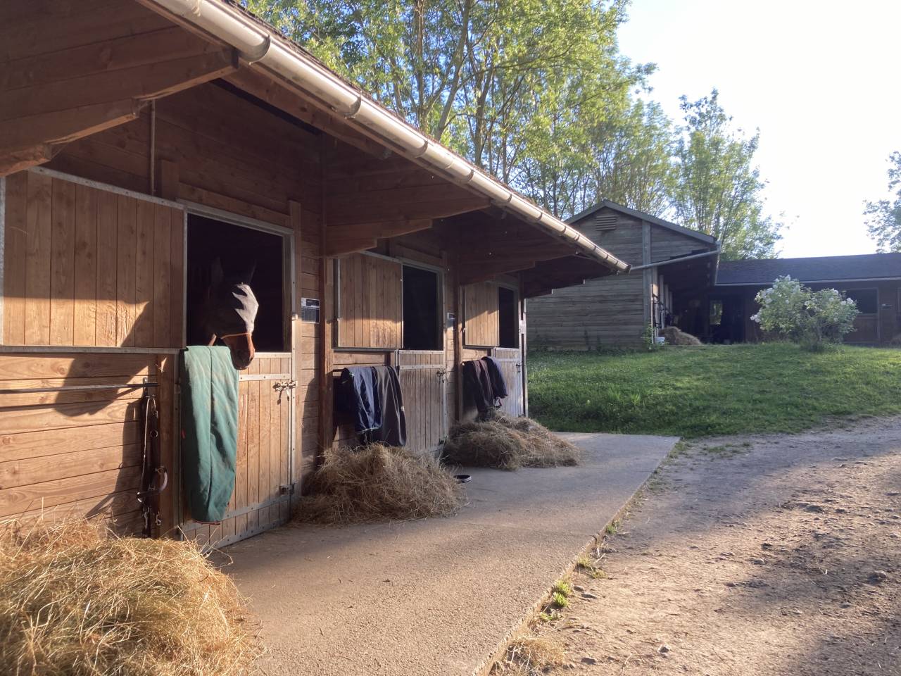 Propri&eacute;t&eacute; &eacute;questre d&rsquo;exception avec deux habitations