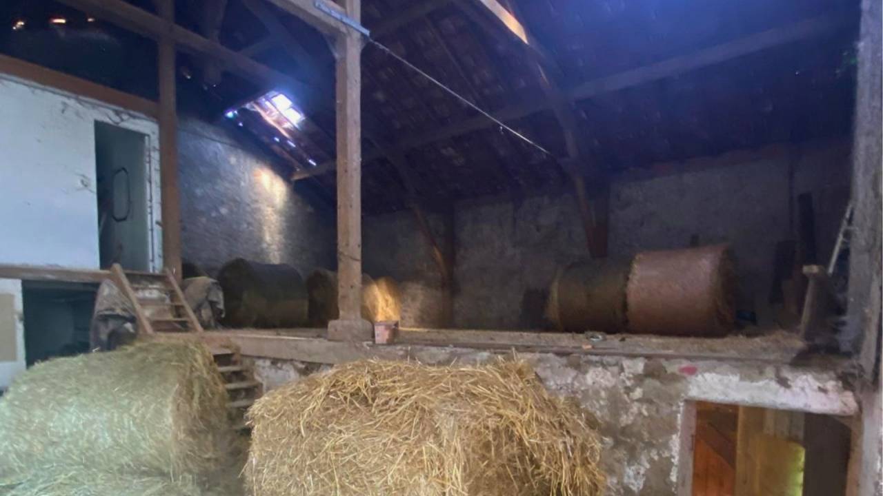 propri&eacute;t&eacute; avec g&icirc;tes et installations &eacute;questres (47)