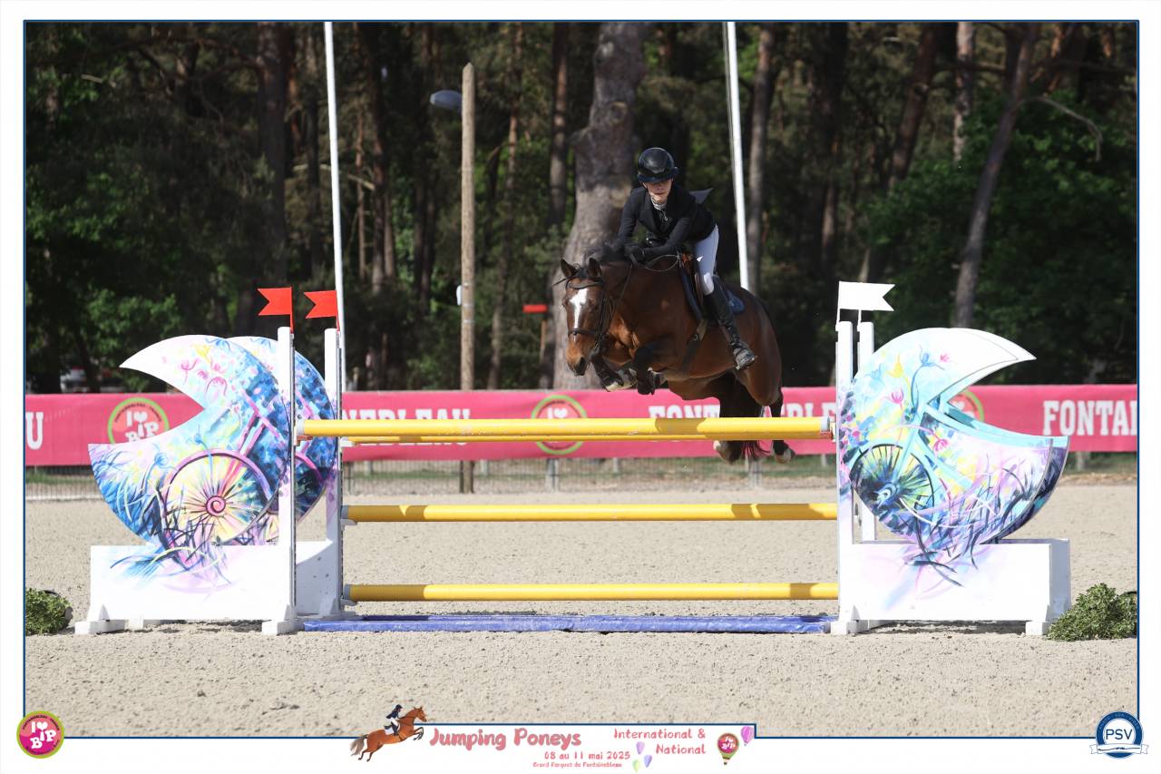 GRAND PRIX AS ELITE COYOTTE GIRL DU GARON