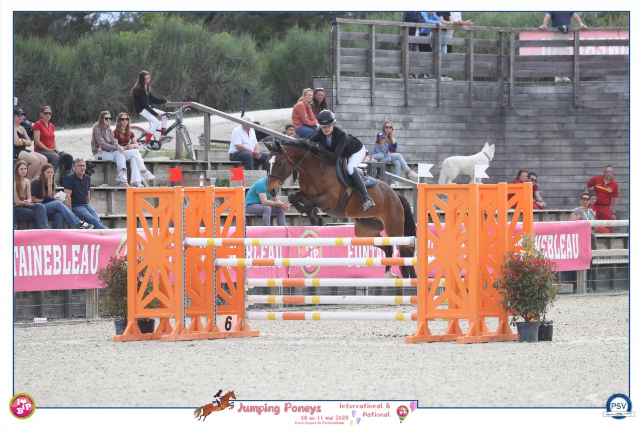 GRAND PRIX AS ELITE COYOTTE GIRL DU GARON