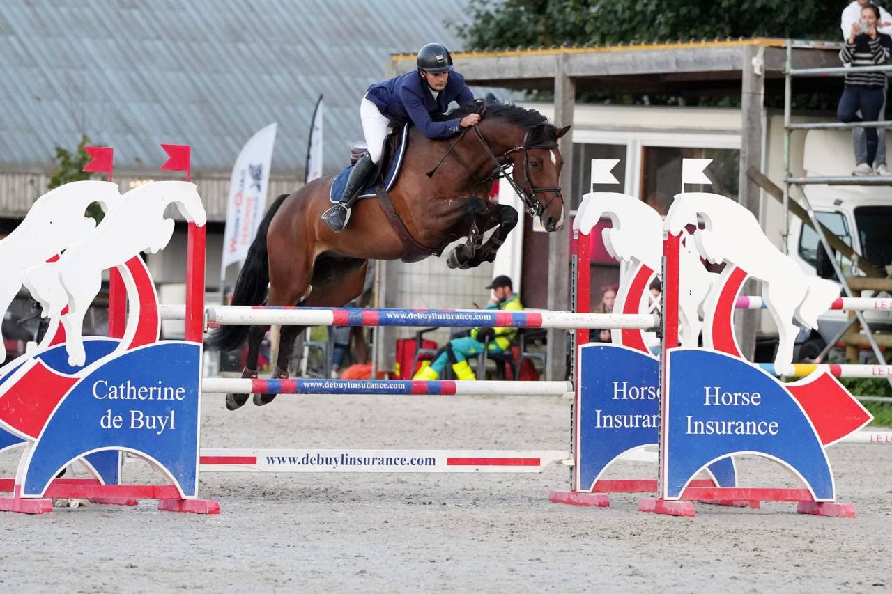 Superbe Hongre de 8 ans - obstacle 140cm 