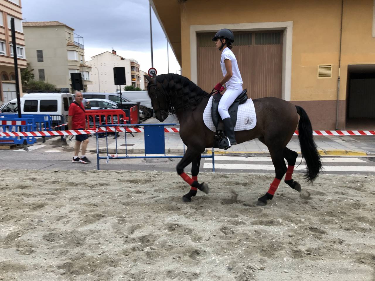 Hongre PRE Pure Race Espagnole A vendre 2016 Autre couleur par Fant&aacute;stico RB II
