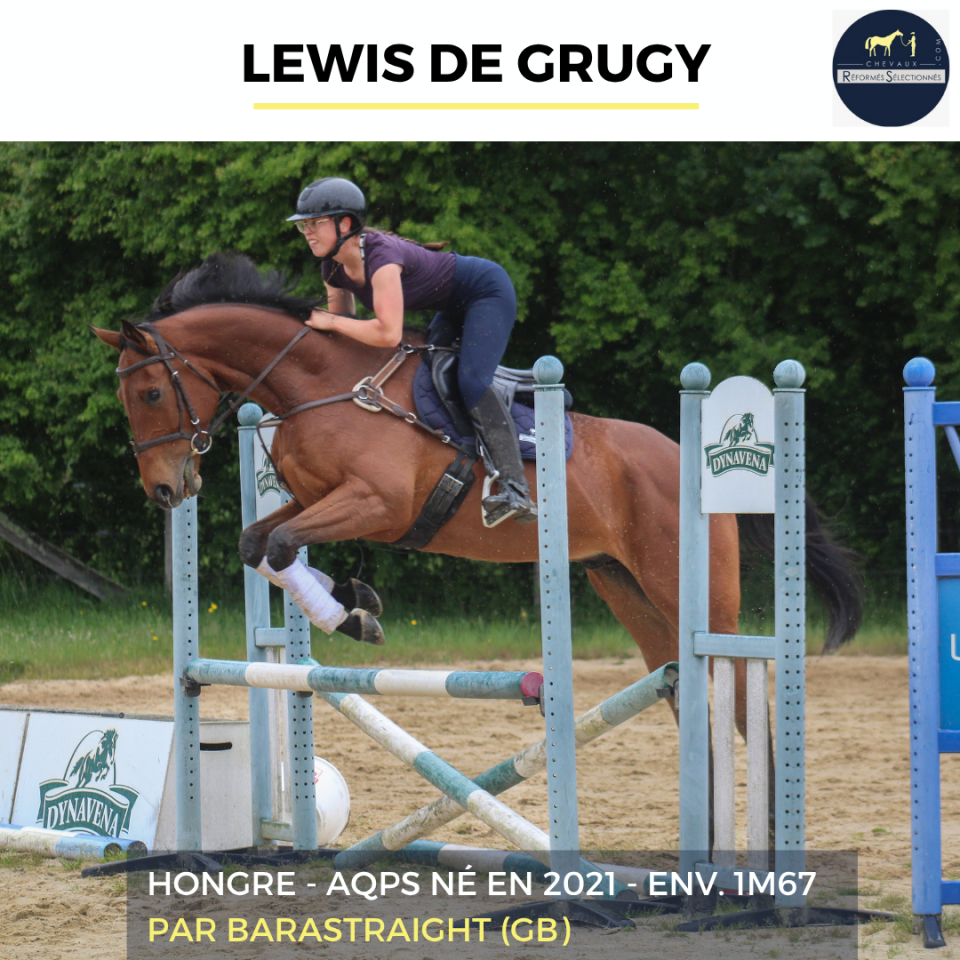 LEWIS DE GRUGY - AQPS - 4 ANS