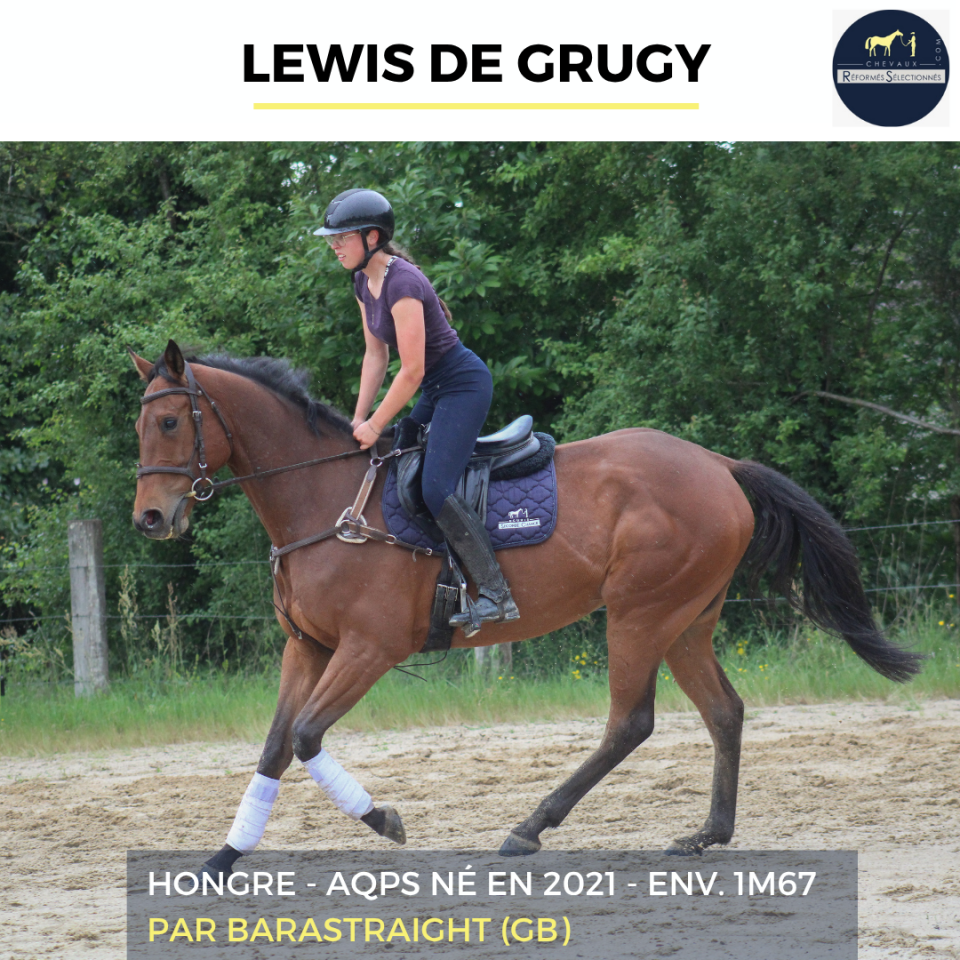 LEWIS DE GRUGY - AQPS - 4 ANS
